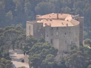 Chateau De Meyrargues Extérieur photo